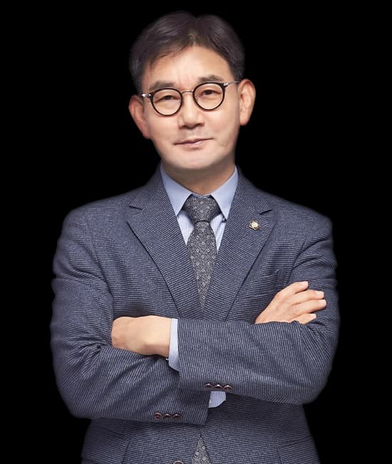 회계감리, 회계감사전문 최한식변호사