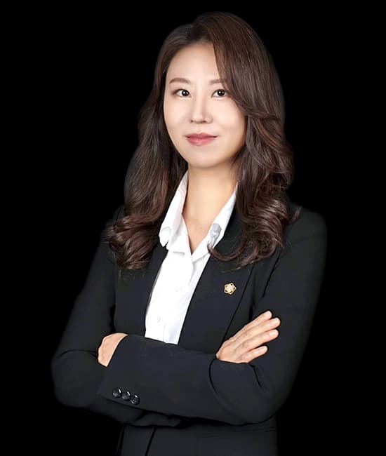 회계감리, 회계감사전문 황서영변호사